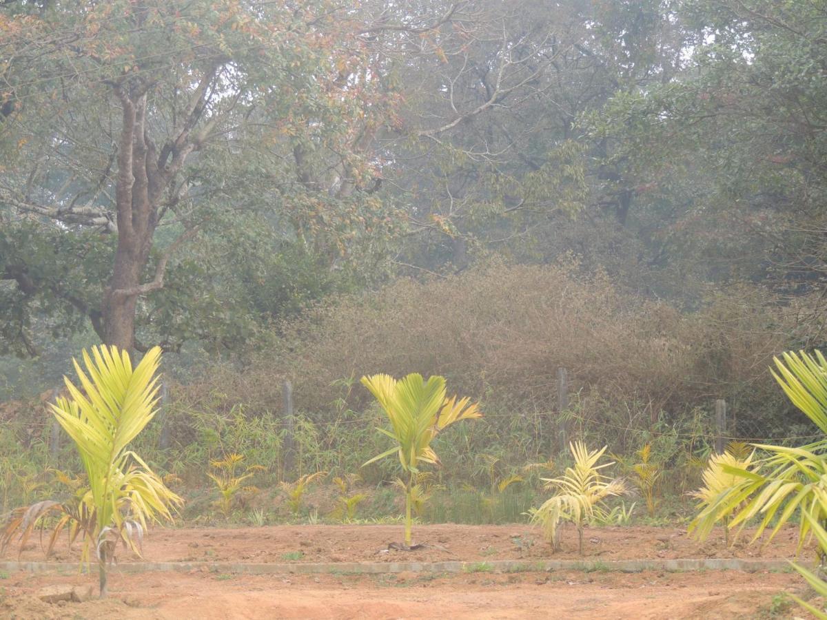 Dandeli Aura Appartamento Esterno foto